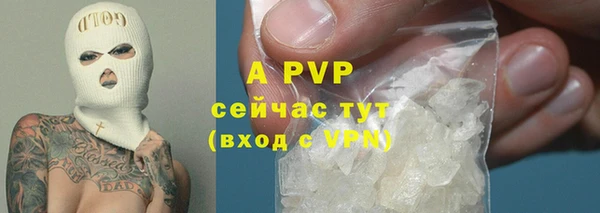 ECSTASY Вязьма