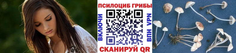 как найти закладки  Пятигорск  Псилоцибиновые грибы Magic Shrooms 